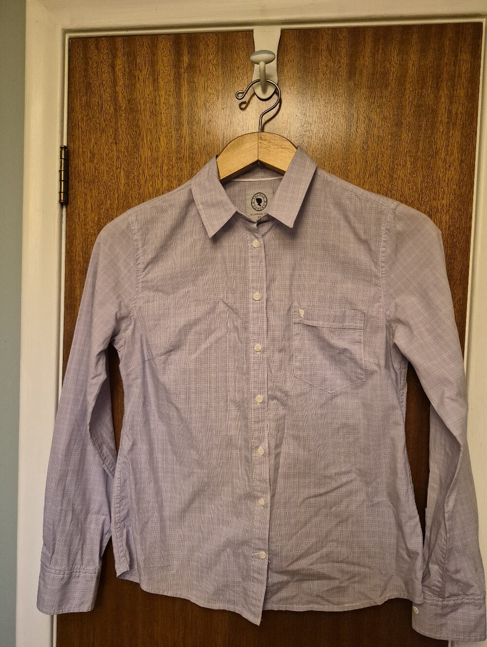 Aritzia Talula Classic Fit Oxford Shirt